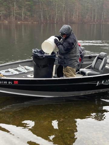 Man stocking fish from boat